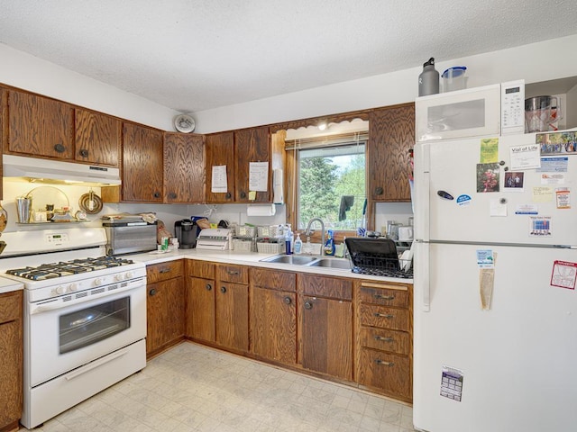 kitchen with under cabinet range hood, light countertops, a sink, and white appliances