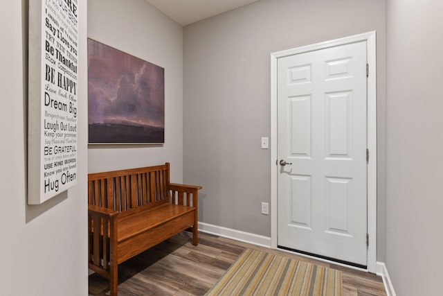 3896 Melby Ave NE, Saint Michael, MN 55376 - entryway featuring wood finished floors and baseboards