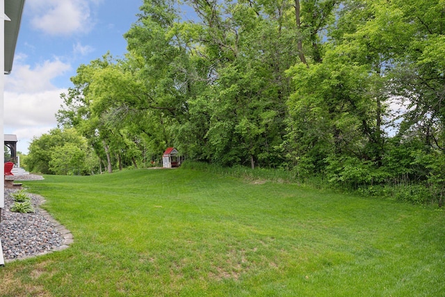 3896 Melby Ave NE, Saint Michael, MN 55376 - view of green lawn