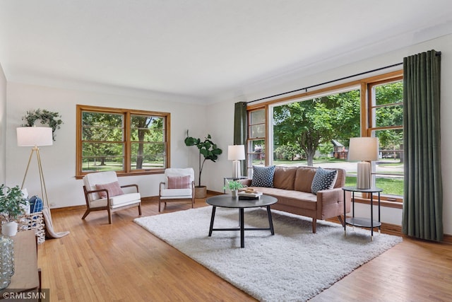674 Wheelock Pkwy W, Saint Paul, MN 55117 - living room with plenty of natural light and wood finished floors