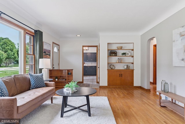 674 Wheelock Pkwy W, Saint Paul, MN 55117 - living room featuring arched walkways, built in features, and light wood-style flooring