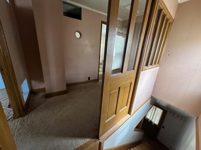 staircase featuring baseboards, crown molding, and carpet
