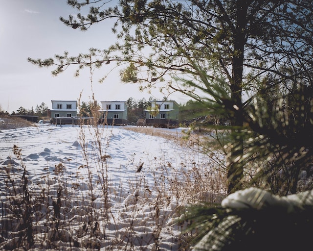 view of yard covered in snow