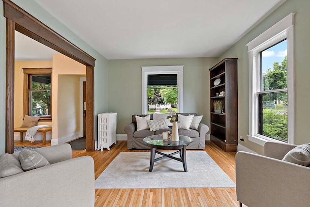 3622 Pleasant Ave, Minneapolis, MN 55409 - living room with radiator heating unit, light wood-style floors, and baseboards