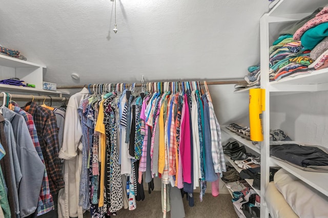 walk in closet featuring carpet flooring