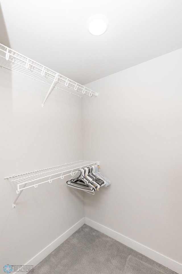 spacious closet with light colored carpet
