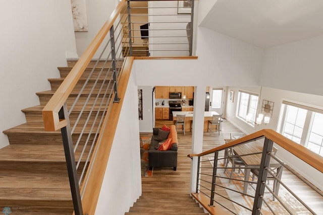 stairway featuring wood finished floors and a towering ceiling