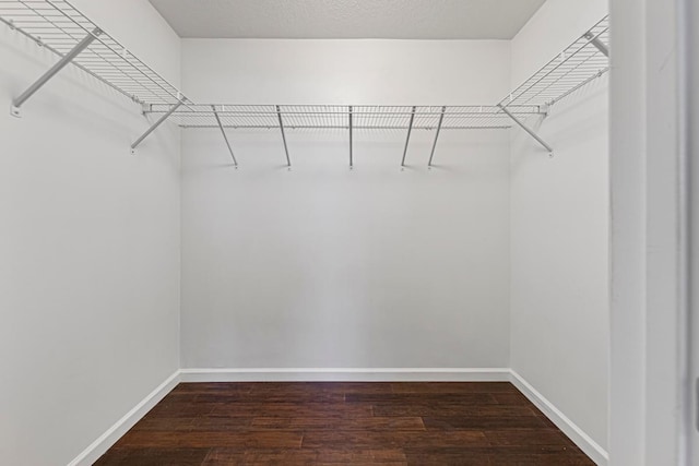walk in closet featuring wood finished floors