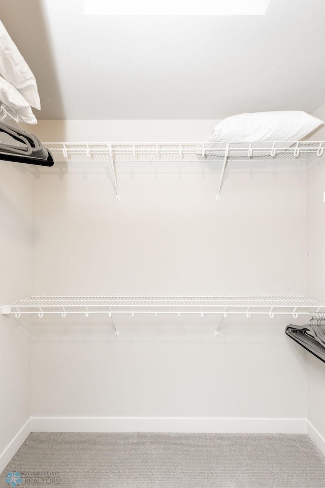 walk in closet with light carpet