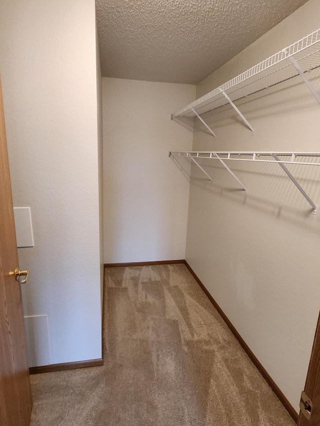 2155 6th Ln SE Unit 301, Cambridge, MN 55008 - walk in closet with carpet floors