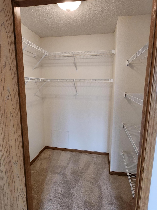 2155 6th Ln SE Unit 301, Cambridge, MN 55008 - walk in closet with carpet