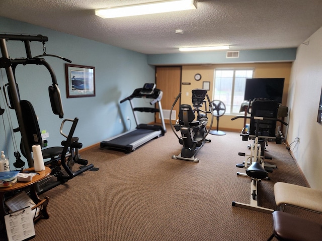 2155 6th Ln SE Unit 301, Cambridge, MN 55008 - exercise room featuring a textured ceiling and carpet flooring