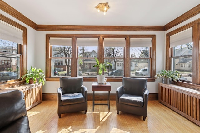 interior space with radiator heating unit and plenty of natural light
