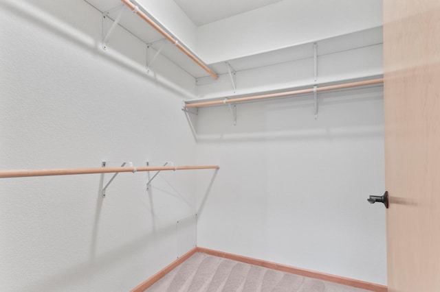 7100 Metro Blvd Unit 116, Edina, MN 55439 - spacious closet featuring carpet flooring