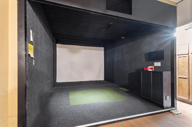 7100 Metro Blvd Unit 116, Edina, MN 55439 - rec room featuring golf simulator and carpet floors