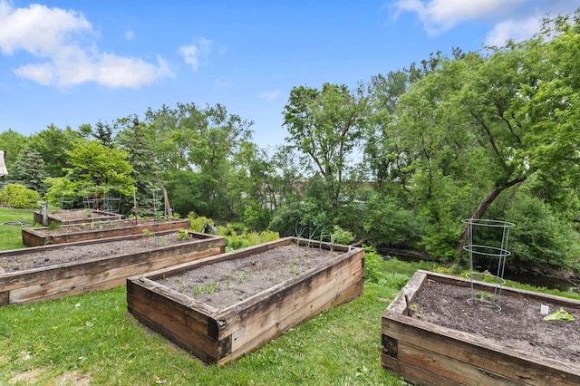 7100 Metro Blvd Unit 116, Edina, MN 55439 - view of yard featuring a garden