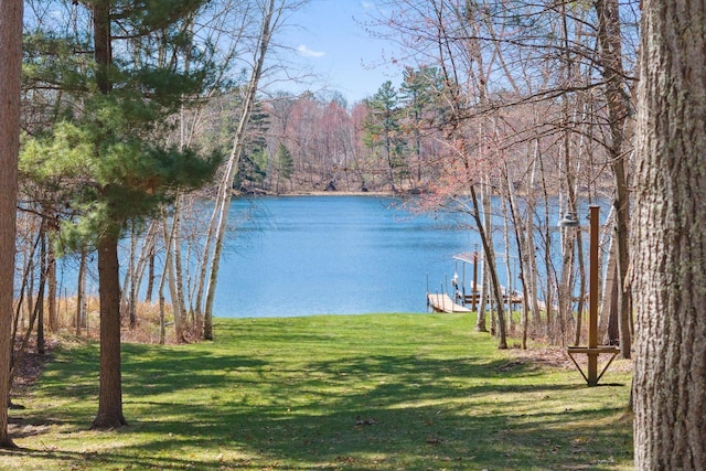 water view with a boat dock and a forest