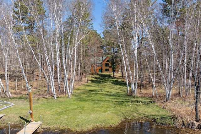 view of grassy yard
