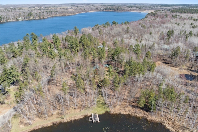 aerial view of property's location with a large body of water and a forest