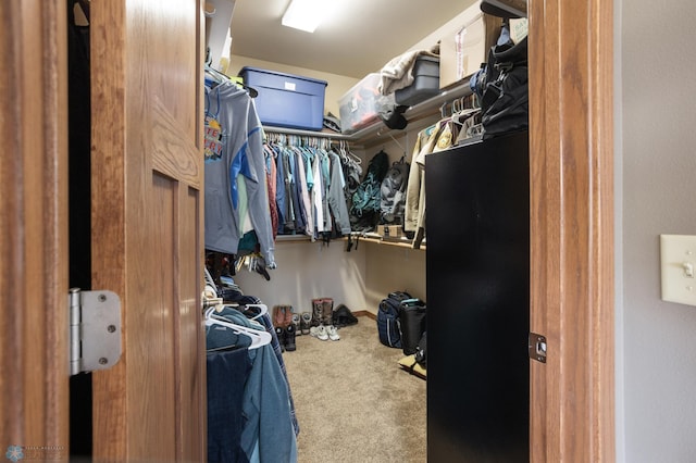 walk in closet featuring carpet flooring