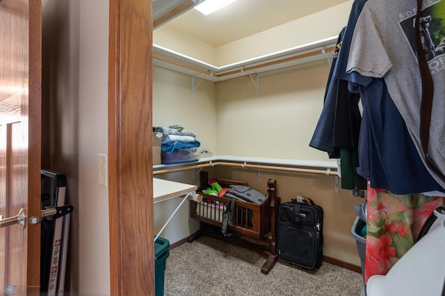 walk in closet featuring carpet flooring