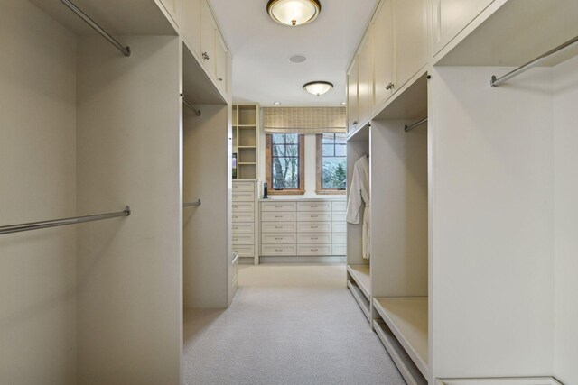 12535 Beach Cir, Eden Prairie, MN 55344 - walk in closet with light carpet