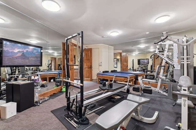 12535 Beach Cir, Eden Prairie, MN 55344 - gym featuring carpet floors and pool table