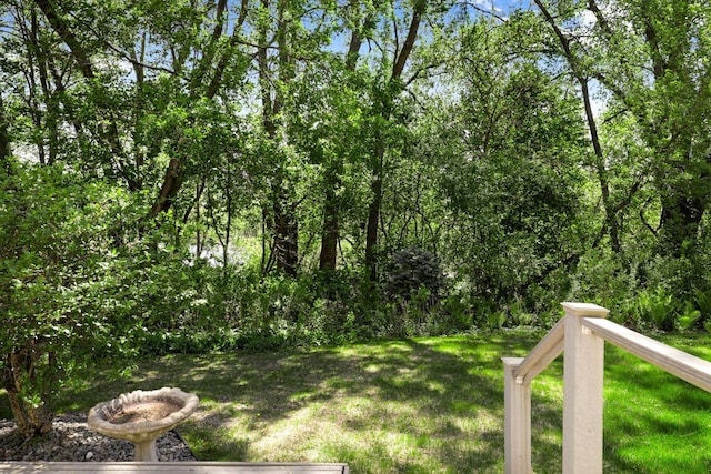 2672 Lake Court Dr Unit 58, Mounds View, MN 55112 - view of green lawn