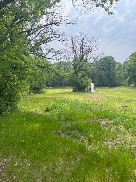 7312 170th Ave, Royalton, MN 56373 - view of yard with a wooded view