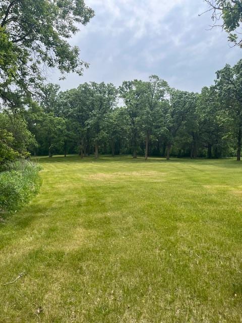 7312 170th Ave, Royalton, MN 56373 - view of green lawn with a wooded view