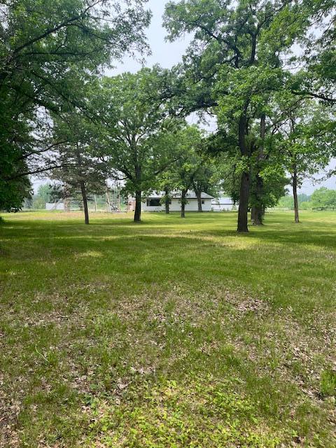 7312 170th Ave, Royalton, MN 56373 - view of yard