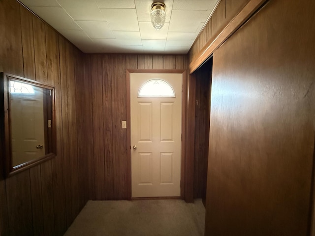 128 Munsterman St, Appleton, MN 56208 - doorway featuring wooden walls and light colored carpet