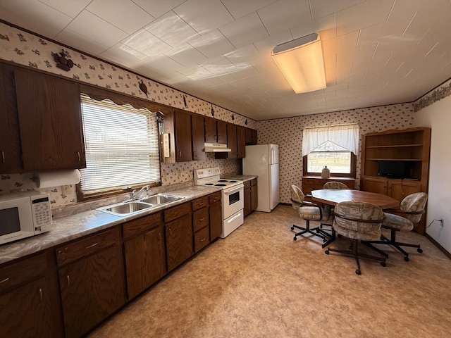 128 Munsterman St, Appleton, MN 56208 - kitchen with a sink, dark brown cabinetry, wallpapered walls, white appliances, and under cabinet range hood