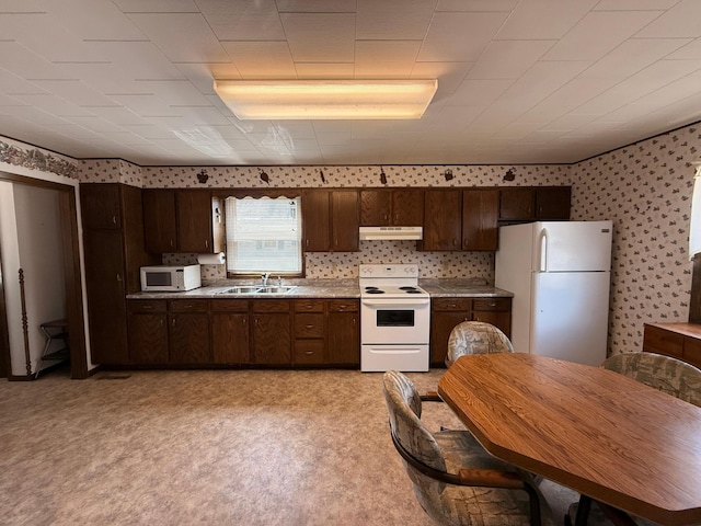 128 Munsterman St, Appleton, MN 56208 - kitchen featuring under cabinet range hood, light countertops, a sink, white appliances, and dark brown cabinetry