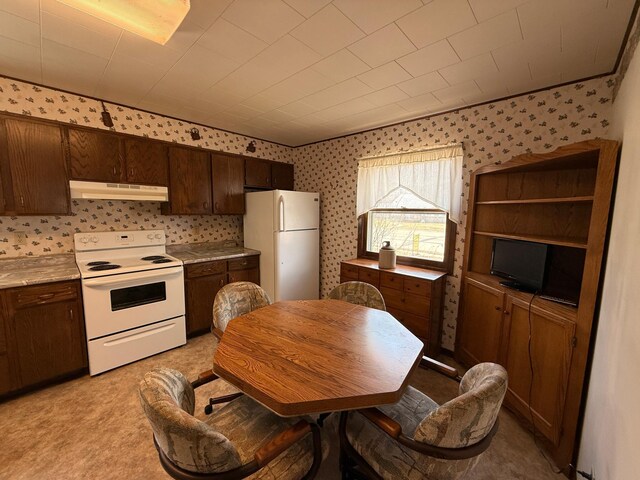 128 Munsterman St, Appleton, MN 56208 - kitchen with wallpapered walls, white appliances, dark brown cabinetry, light countertops, and under cabinet range hood