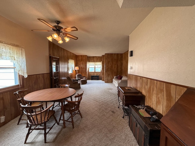 128 Munsterman St, Appleton, MN 56208 - dining room featuring a healthy amount of sunlight, a textured ceiling, and wooden walls