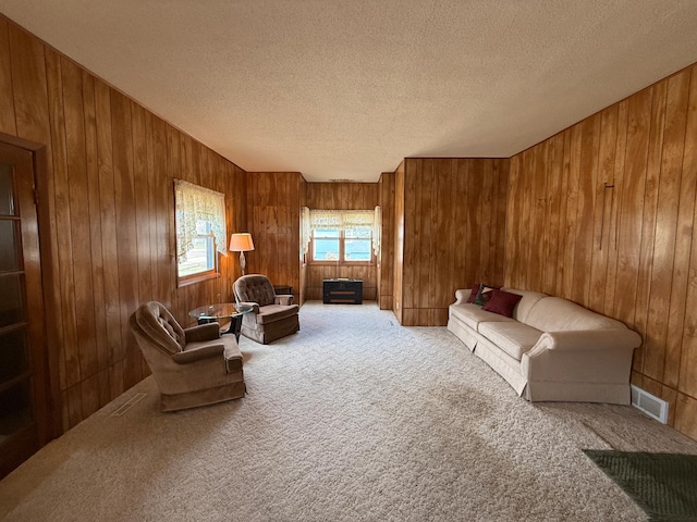 128 Munsterman St, Appleton, MN 56208 - carpeted living area featuring wood walls, a textured ceiling, and visible vents