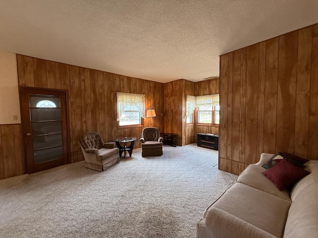 128 Munsterman St, Appleton, MN 56208 - carpeted living room featuring a textured ceiling and wooden walls