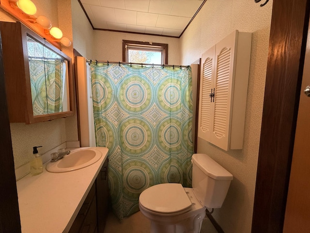 128 Munsterman St, Appleton, MN 56208 - bathroom with curtained shower, a textured wall, toilet, and vanity