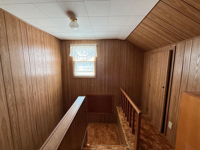 128 Munsterman St, Appleton, MN 56208 - stairway with wooden walls and vaulted ceiling