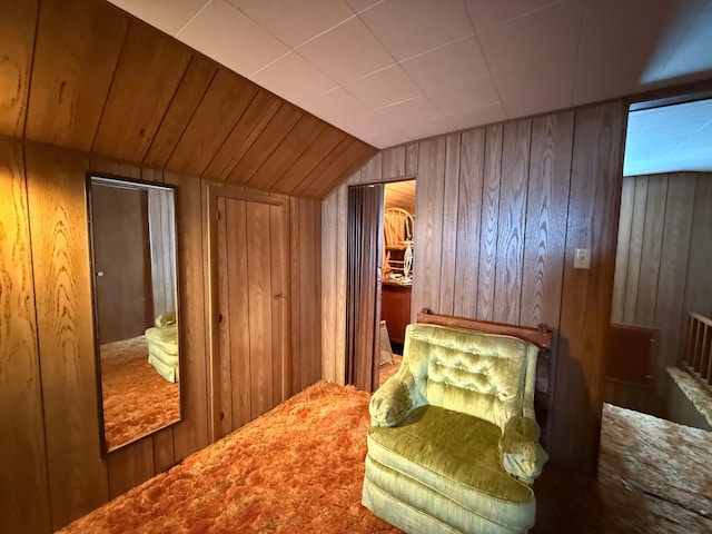 128 Munsterman St, Appleton, MN 56208 - interior space with wooden walls
