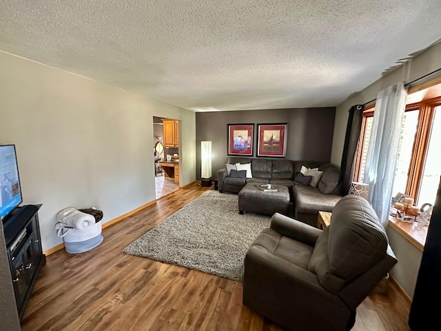 living room with baseboards, wood finished floors, and a textured ceiling