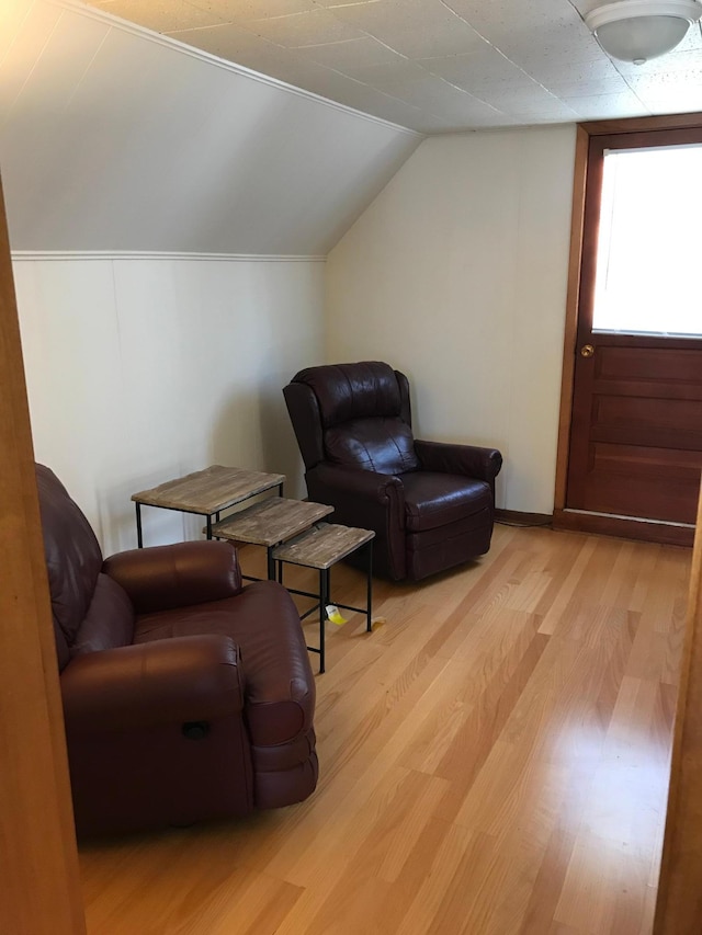 1509 5th St, Mankato, MN 56001 - living area with lofted ceiling and light wood finished floors