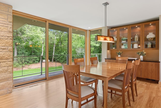 685 Hidden Creek Trl, Mendota Heights, MN 55118 - photo 8