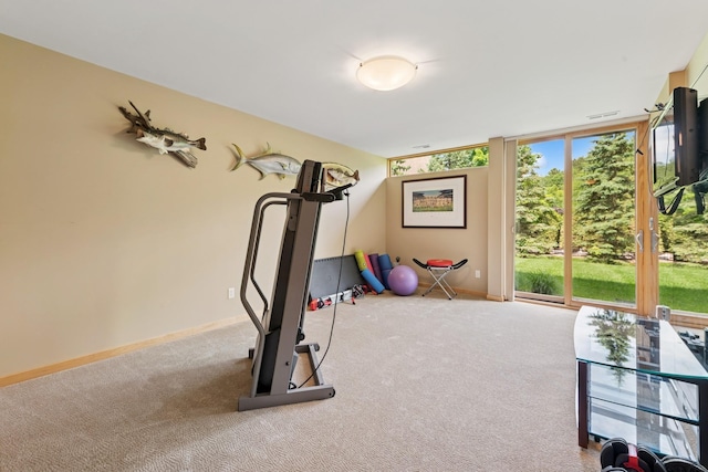 685 Hidden Creek Trl, Mendota Heights, MN 55118 - photo 41
