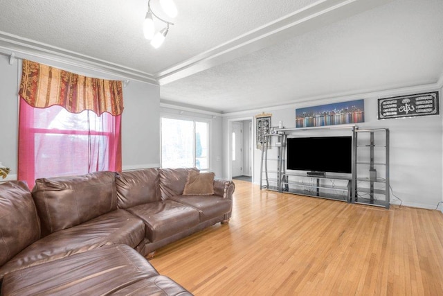 living room featuring crown molding, wood finished floors, and a textured ceiling