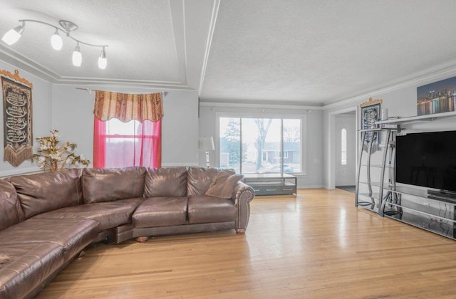 living room with wood finished floors, a textured ceiling, and crown molding