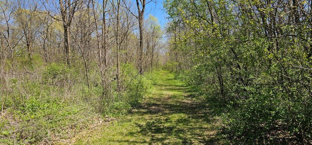 26856 County 14, Carimona Twp, MN 55965 - photo 6