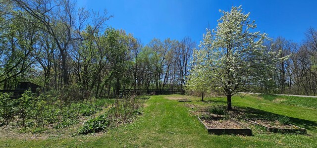 26856 County 14, Carimona Twp, MN 55965 - photo 7