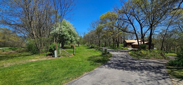 26856 County 14, Carimona Twp, MN 55965 - photo 8